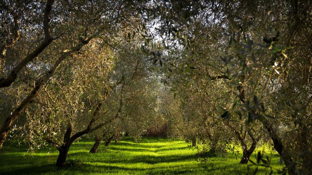 Agriturismo Biologico Pitigliano Il Casale degli Orti