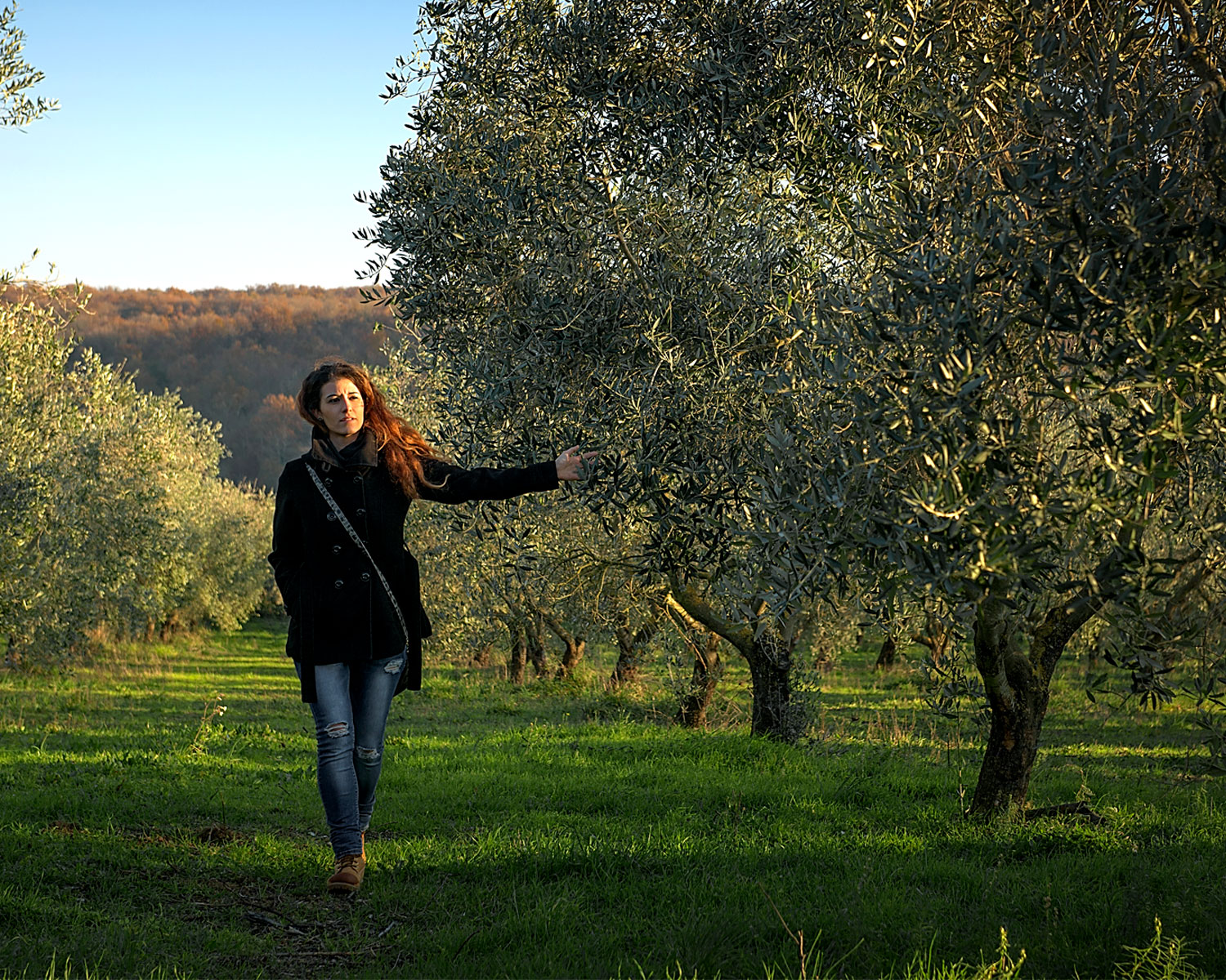 L Agriturismo Biologico a Pitigliano Il Casale degli Orti